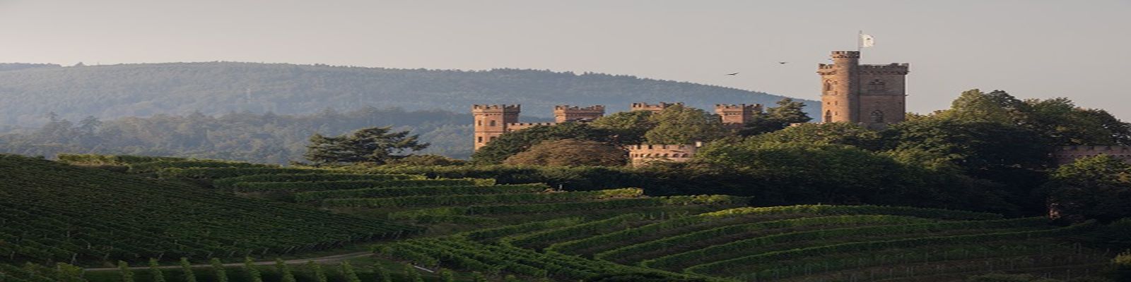 Schloss Ortenberg